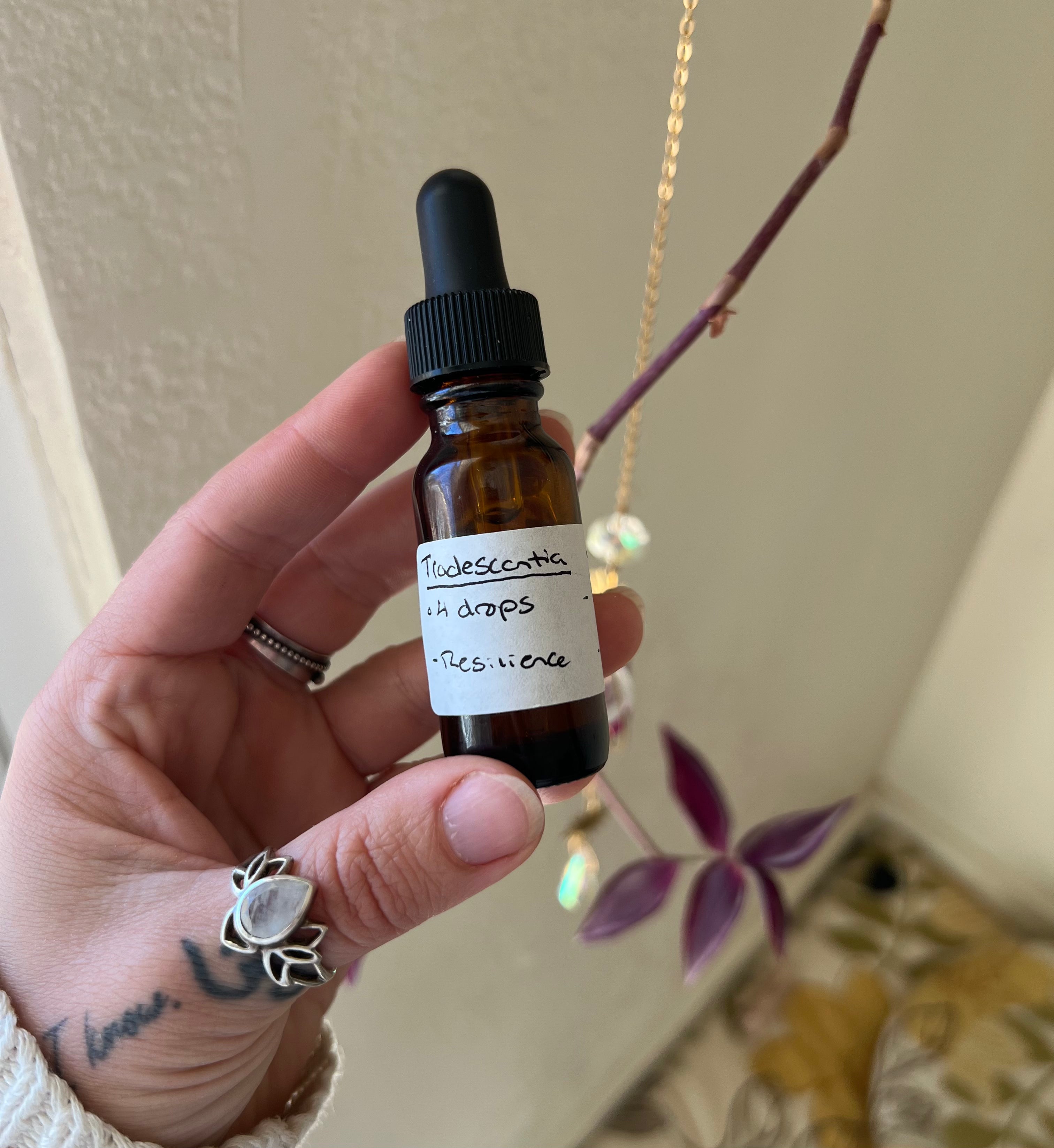 Tradescantia Flower Essence